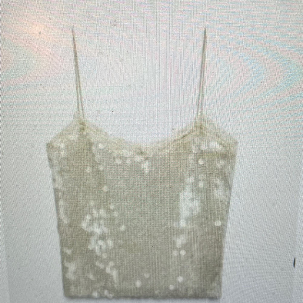Zara translucent clear Sequin on gold mesh Tank Top with lace trim - nwt